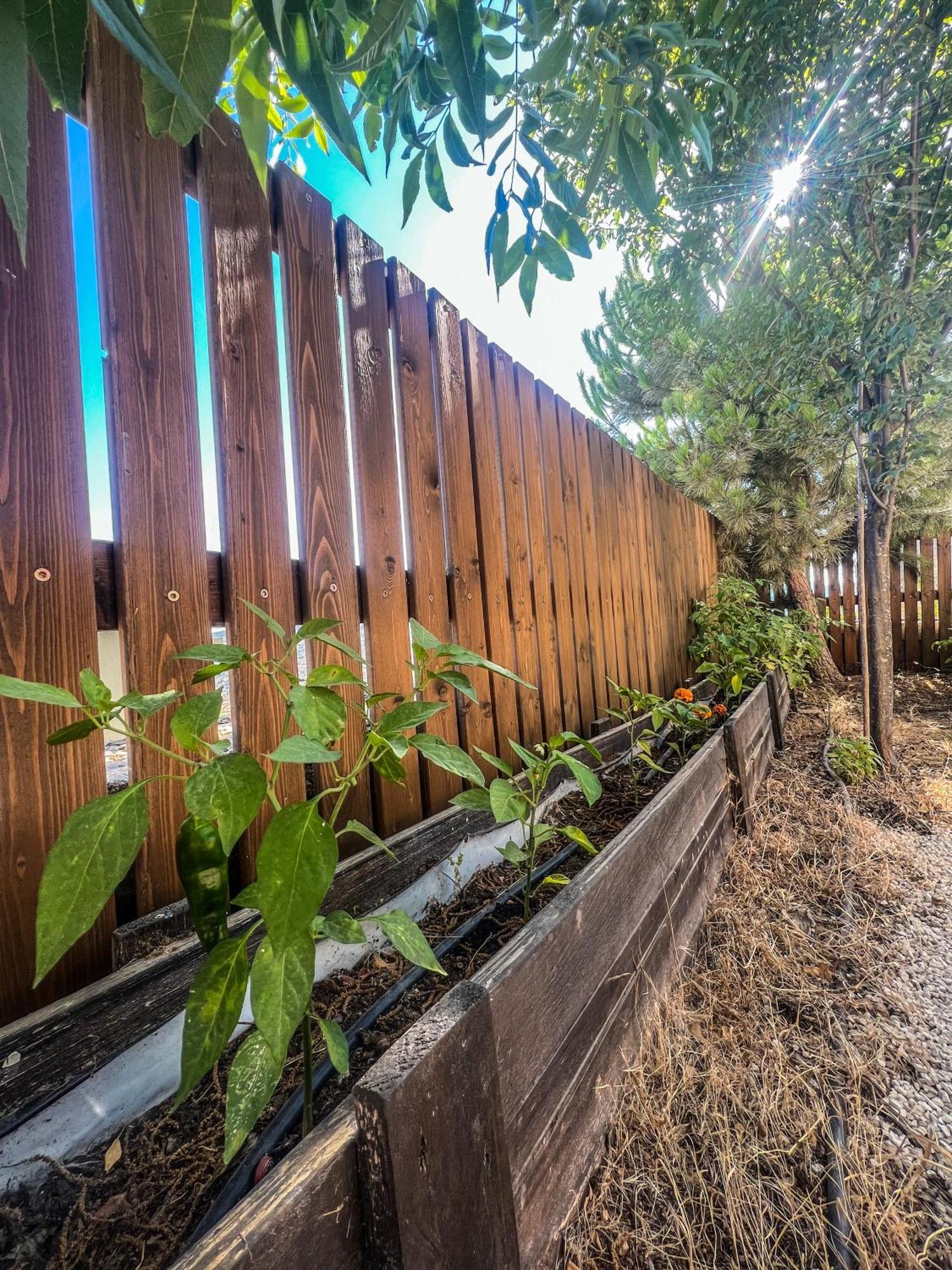 חורפיש Lana'S Guest House מראה חיצוני תמונה